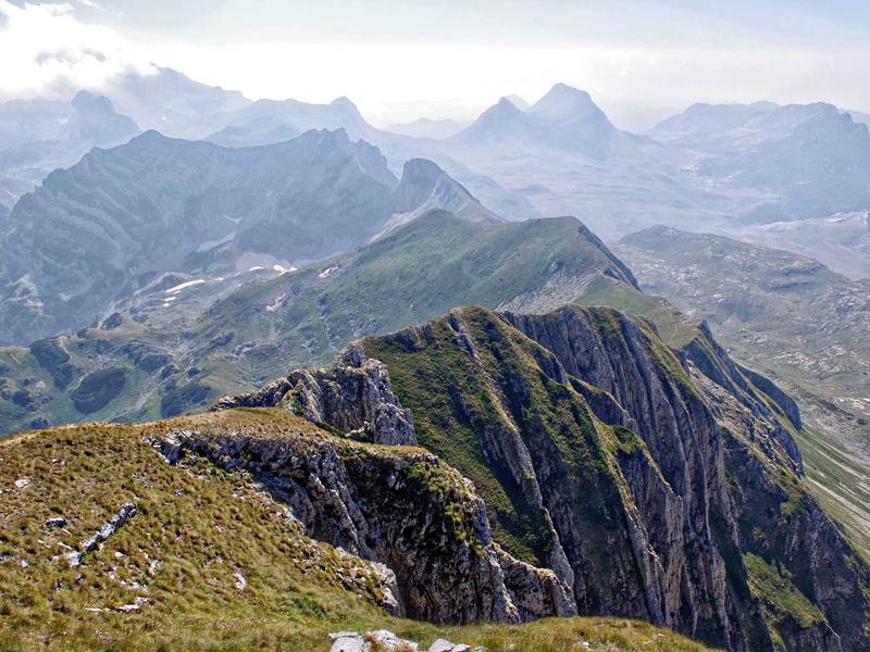 partners screenshot 4