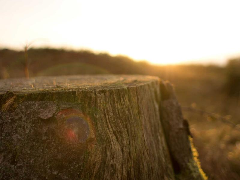 sudoku solution check screenshot 1